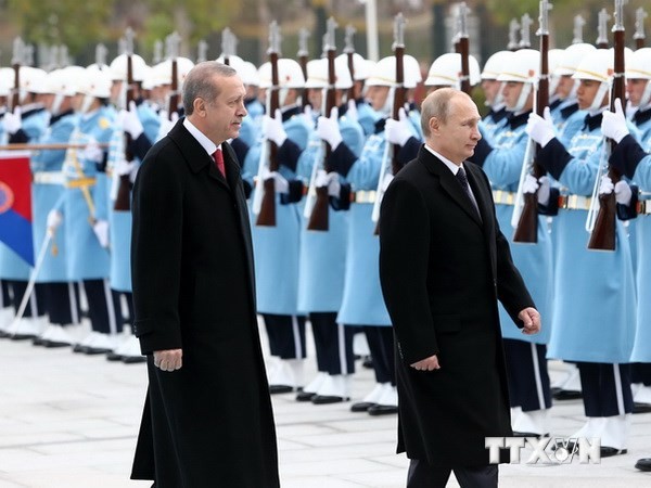 Президент России прибыл в Турцию с визитом - ảnh 1